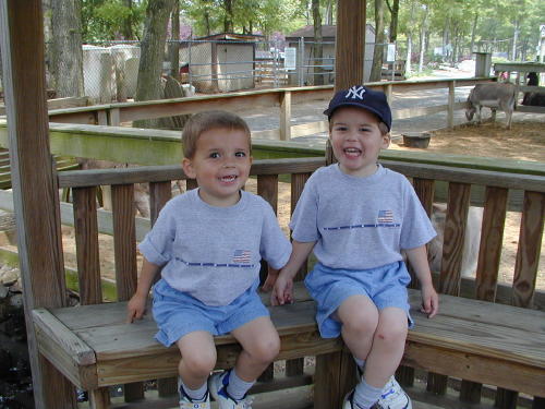 25270013s.JPG - 52.7 K