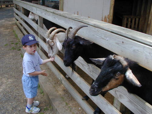 25270038s.JPG - 52.7 K