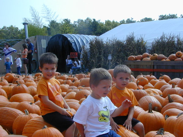 2X060107s.JPG - 90.7 K