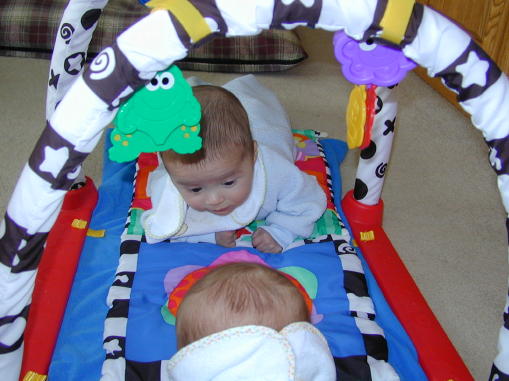 00-0123-pkgym3s.jpg - 48.9 K