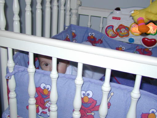 00-0130-kcrib1s.jpg - 43.3 K