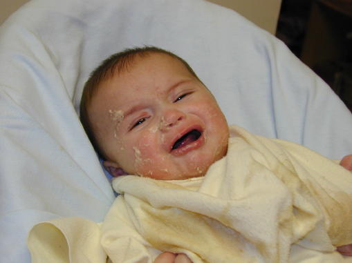 00-0204-kcereal1s.jpg - 27.6 K