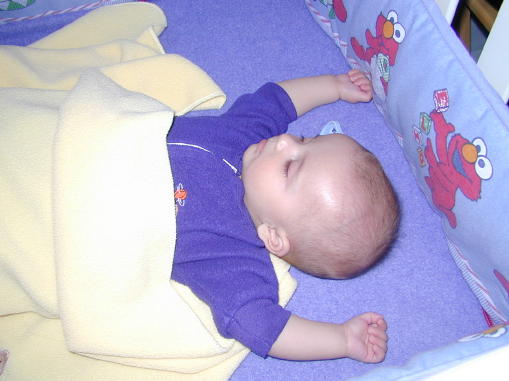 00-0320-pzz1s.jpg - 36.7 K